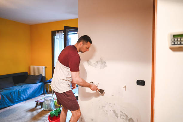 Best Residential Mold Removal  in Morrisville, VT